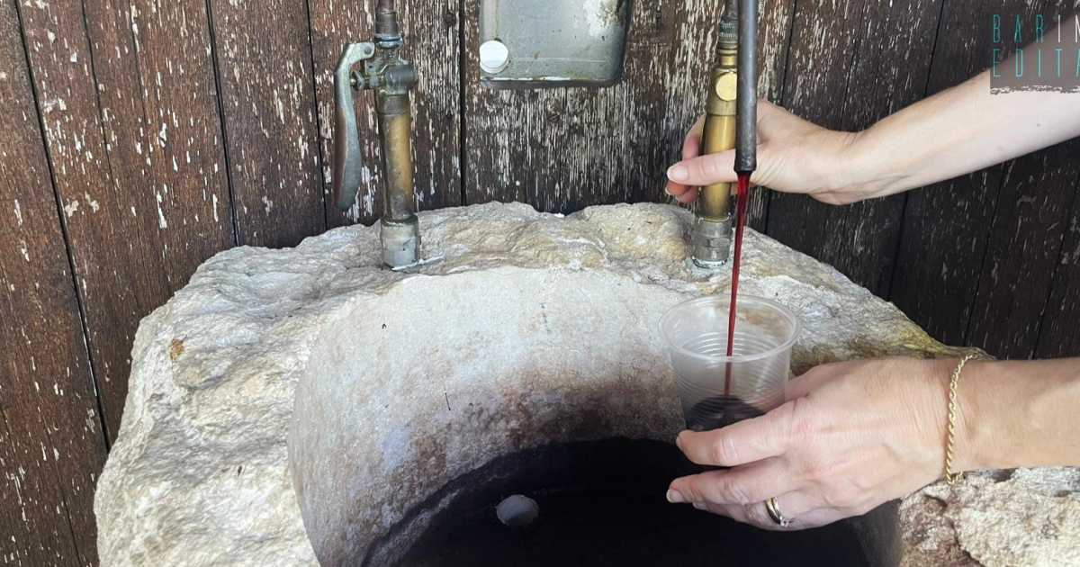 A Ortona una fontana offre vino gratis ogni giorno: �Benvenuto ai pellegrini di passaggio�